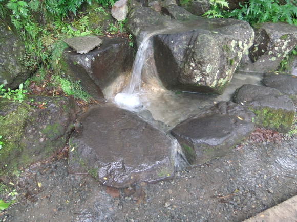 f0063791_10424342.jpg