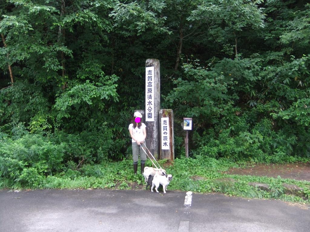 f0063791_10534261.jpg