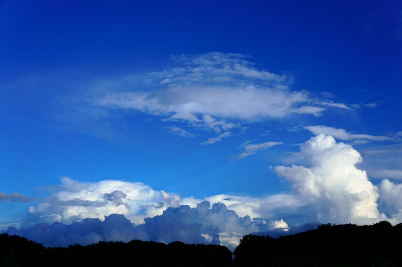 a0185693_030322.jpg