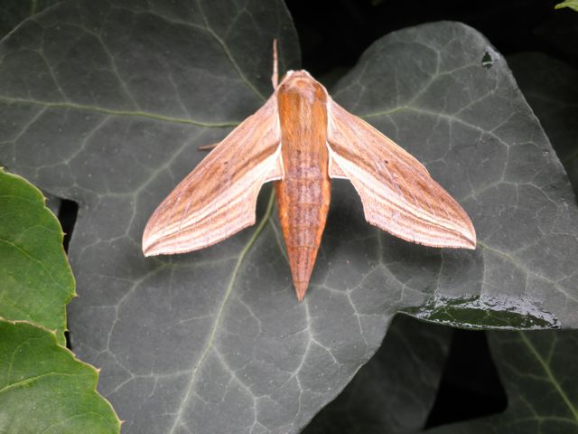 f0130894_22115469.jpg