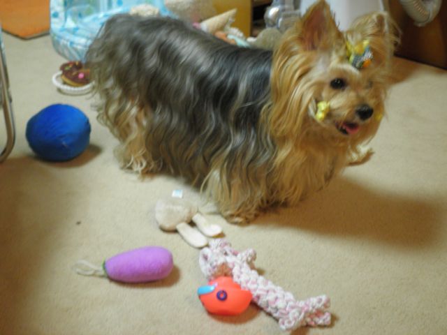 f0130894_2253551.jpg