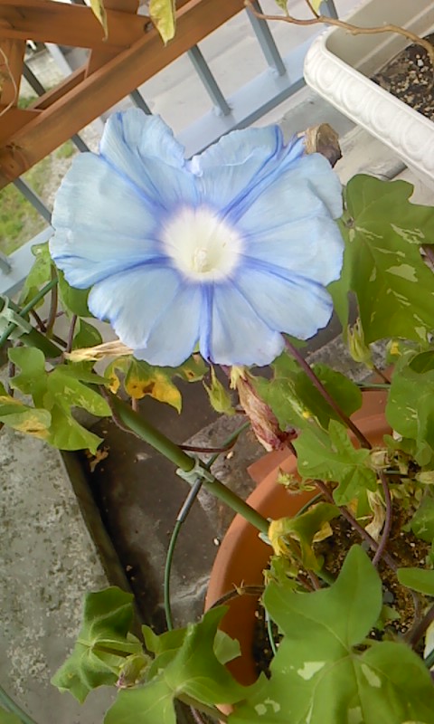 b0007895_11301875.jpg