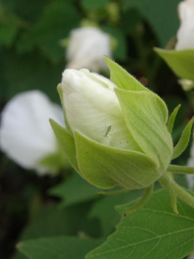 e0017396_23133310.jpg