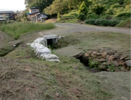 c0151898_924374.jpg