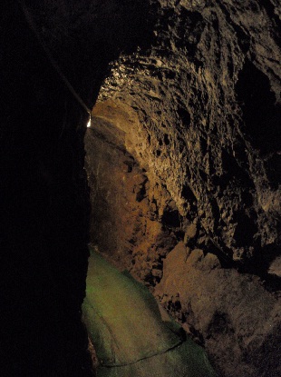 e0077899_757838.jpg