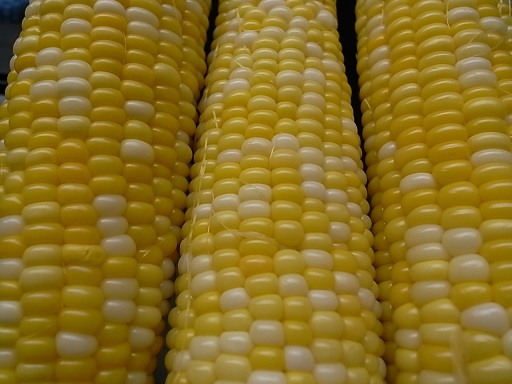 e0043700_22432783.jpg