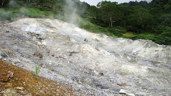 a0184303_1118868.jpg