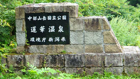 a0184303_1185612.jpg