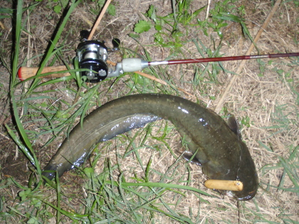 c0023804_15321726.jpg