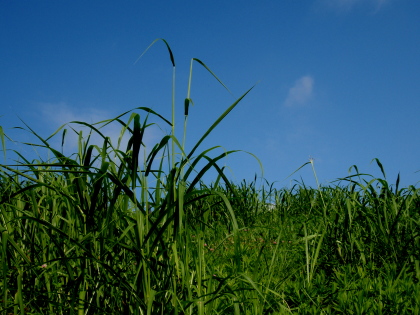 c0023804_153307.jpg
