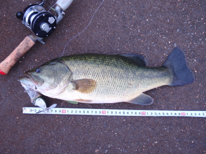 c0023804_15382666.jpg