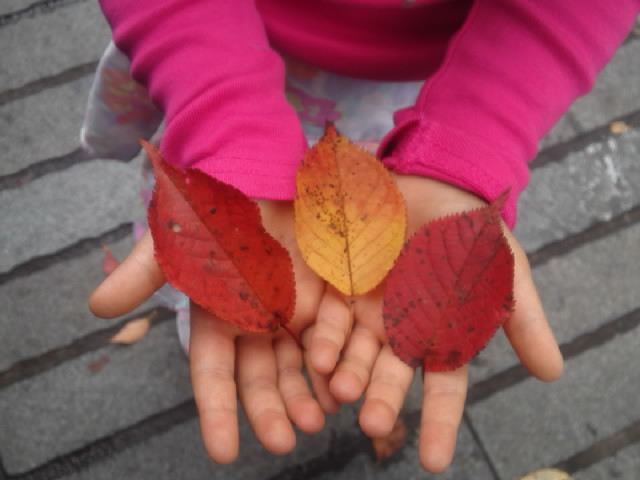 c0211507_14221913.jpg