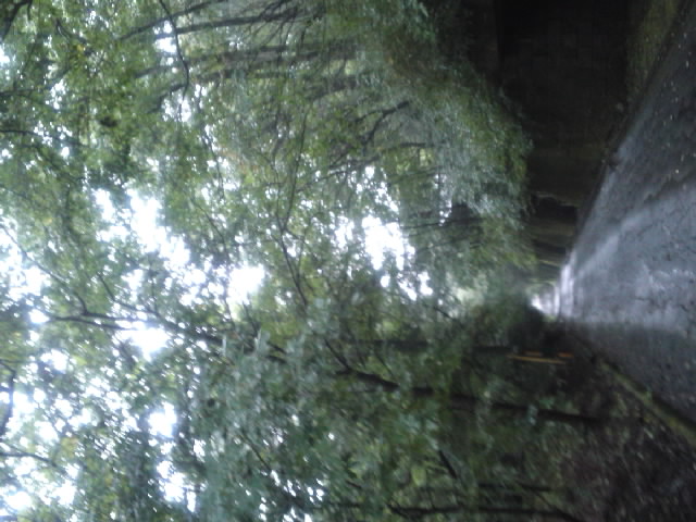 c0211507_14221916.jpg