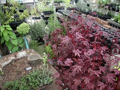 c0190010_2021512.jpg