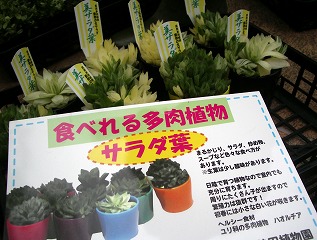 c0190010_20245198.jpg