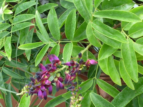c0167112_21432476.jpg