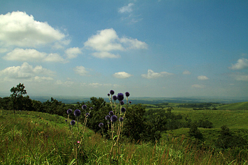 d0248814_11272323.jpg