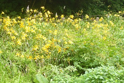 c0076218_2213066.jpg