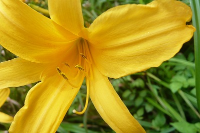 c0076218_2214930.jpg