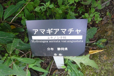 c0076218_22475230.jpg