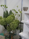 f0139520_216872.jpg