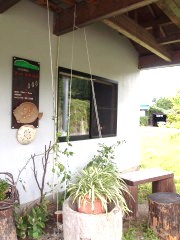 b0147224_1614849.jpg
