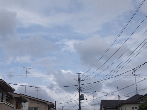 b0199924_16245760.jpg