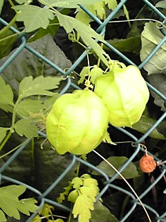 d0079830_21254873.jpg