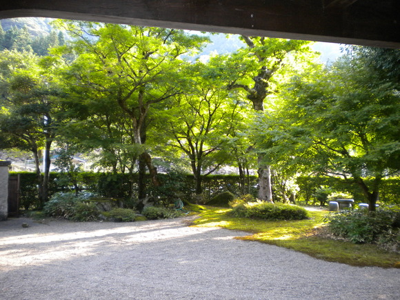 d0183130_027271.jpg
