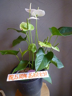 c0150632_6403588.jpg