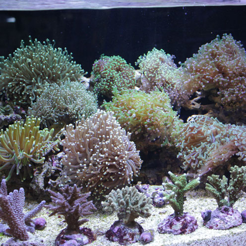 d0221436_19392872.jpg