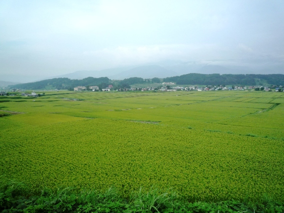 b0041442_8423378.jpg
