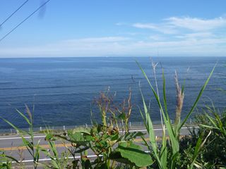 b0220251_05158.jpg