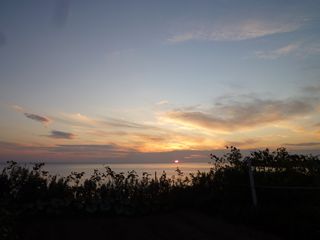 b0220251_10514415.jpg
