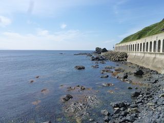 b0220251_6526100.jpg