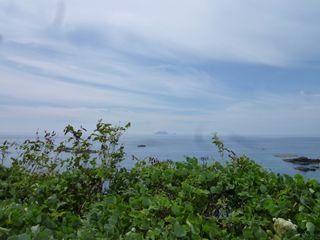 b0220251_859236.jpg