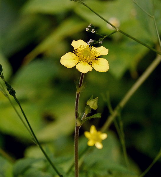 d0091754_245173.jpg