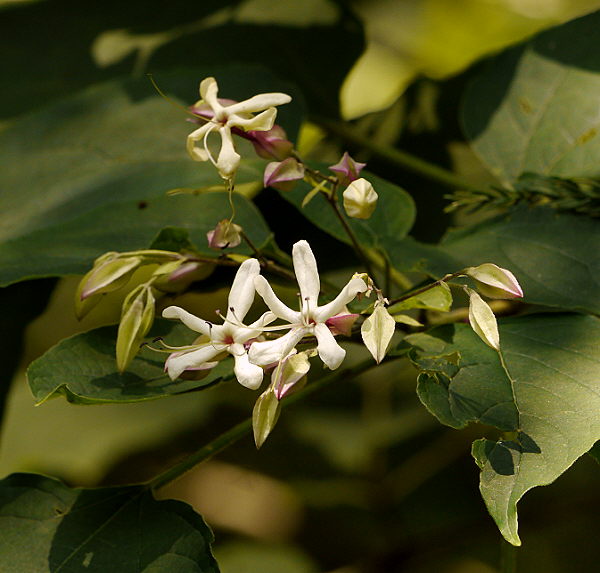 d0091754_253567.jpg