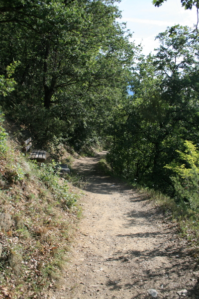 f0077159_037328.jpg
