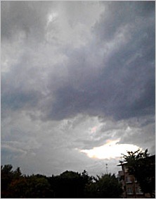 a0050669_3325439.jpg