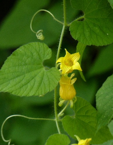 d0084473_2121462.jpg
