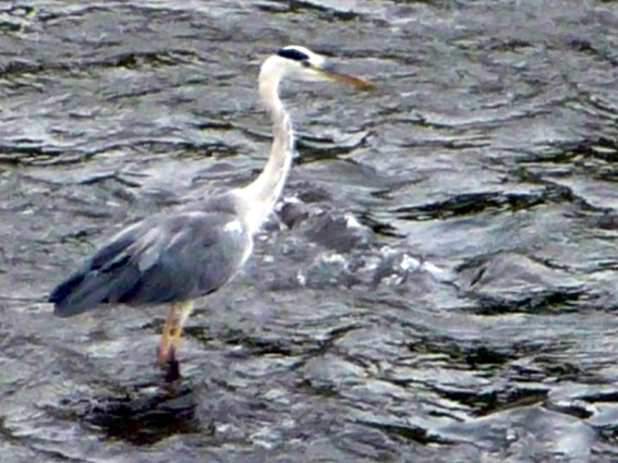 c0125283_9144411.jpg