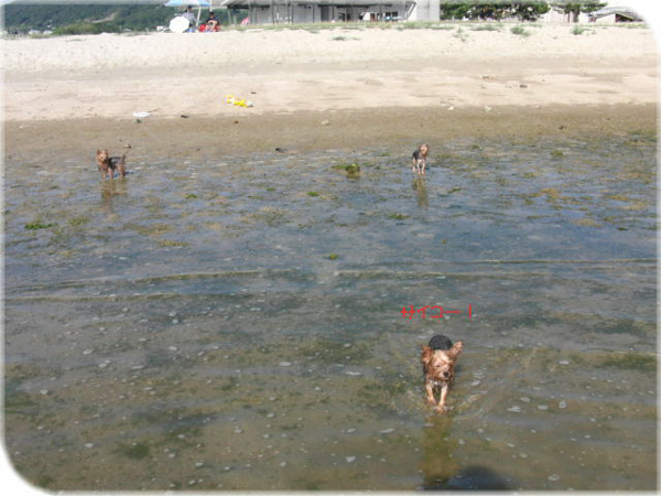 f0018384_011511.jpg