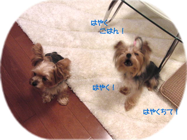 f0018384_22574293.jpg