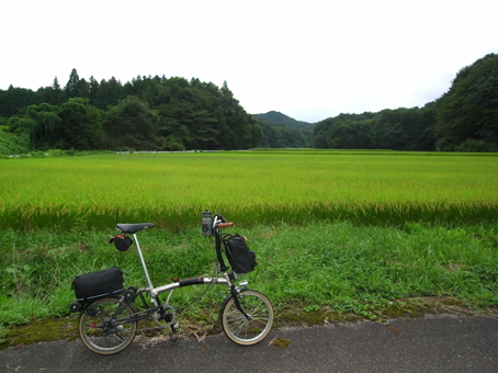 b0087187_19151221.jpg