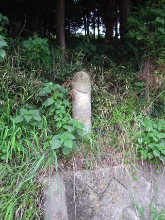 b0087187_19154814.jpg