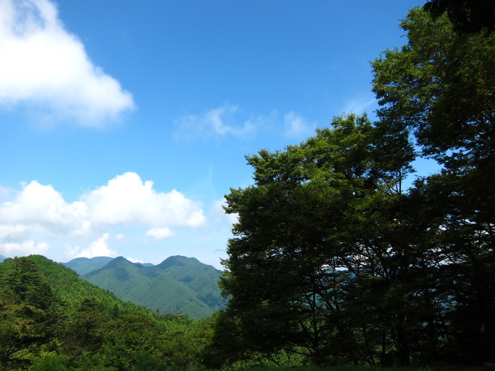 b0229187_173775.jpg