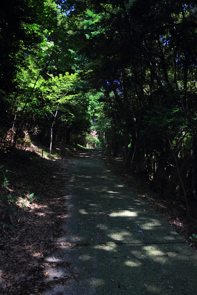 e0051888_2143487.jpg