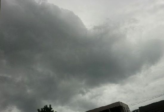 e0143690_42318.jpg