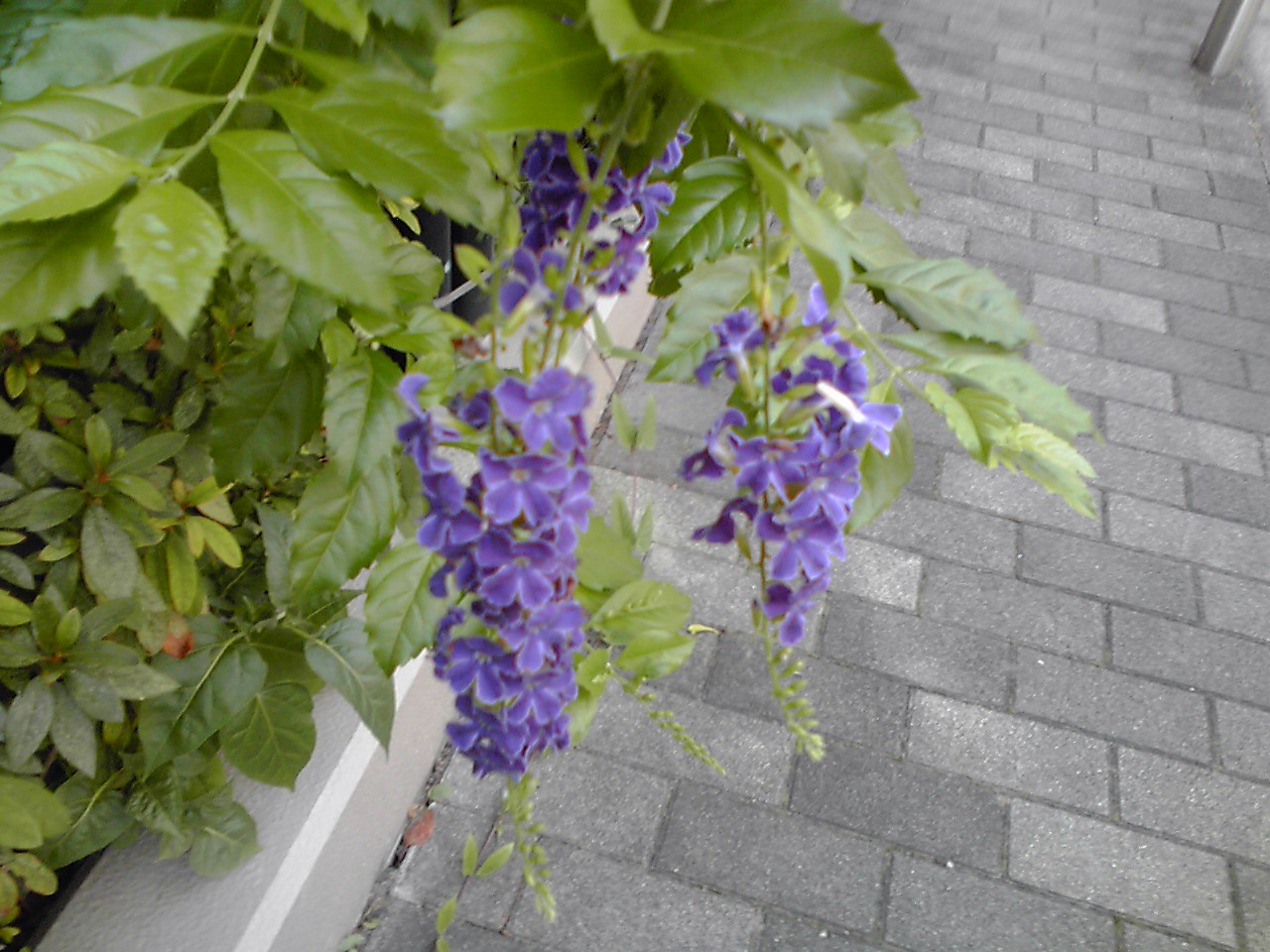 d0239796_2359516.jpg